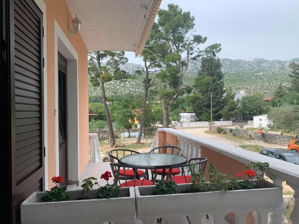 Apartmani Spomenka 塞利讷 外观 照片