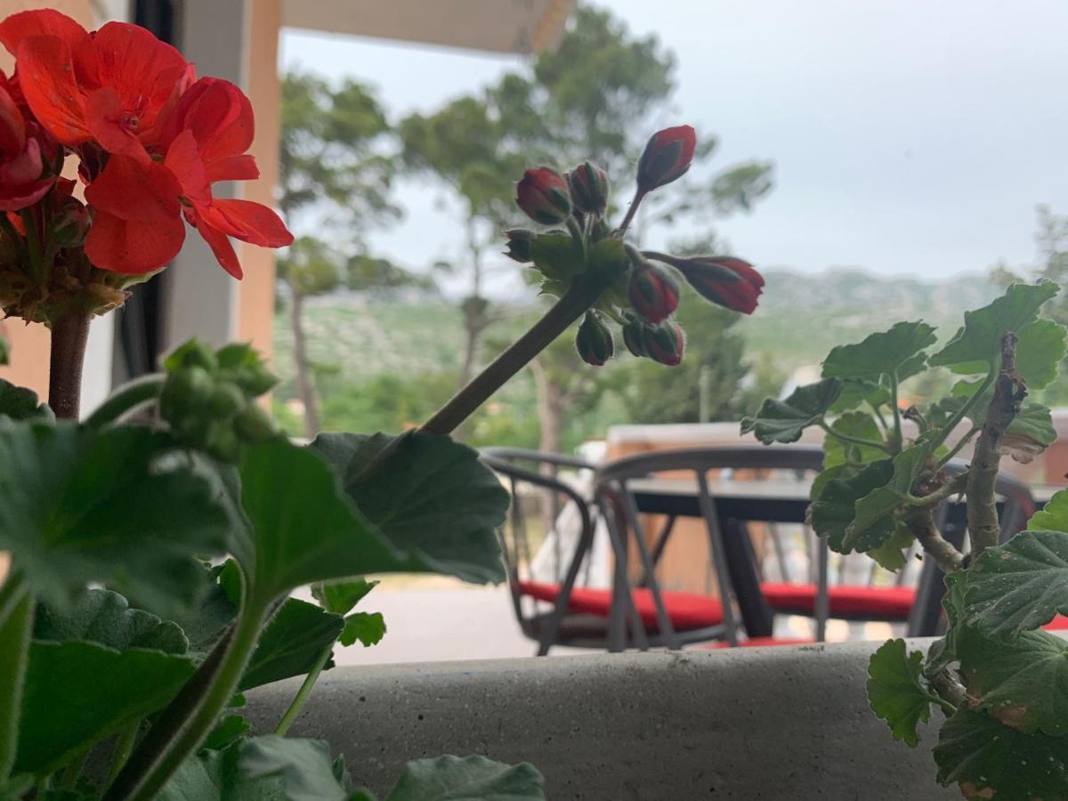Apartmani Spomenka 塞利讷 外观 照片