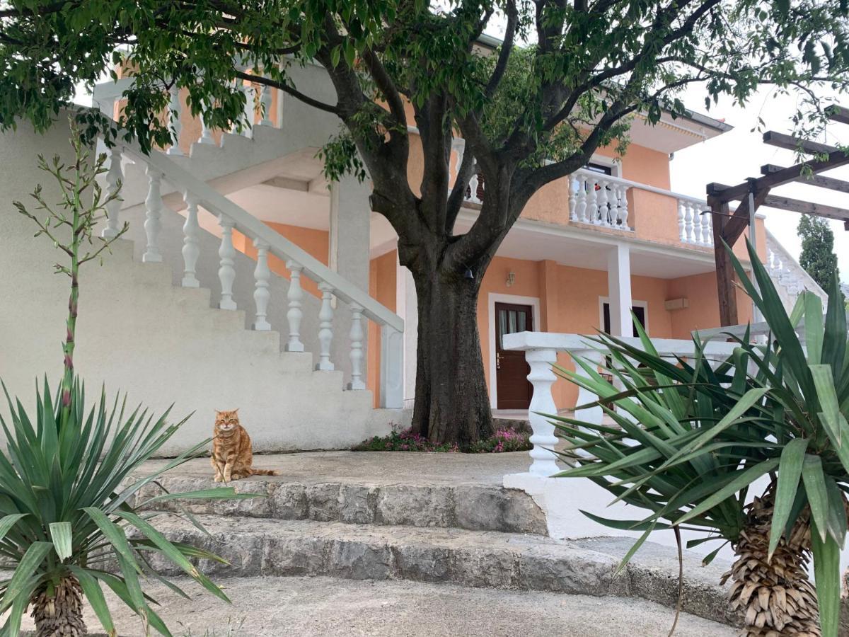 Apartmani Spomenka 塞利讷 外观 照片