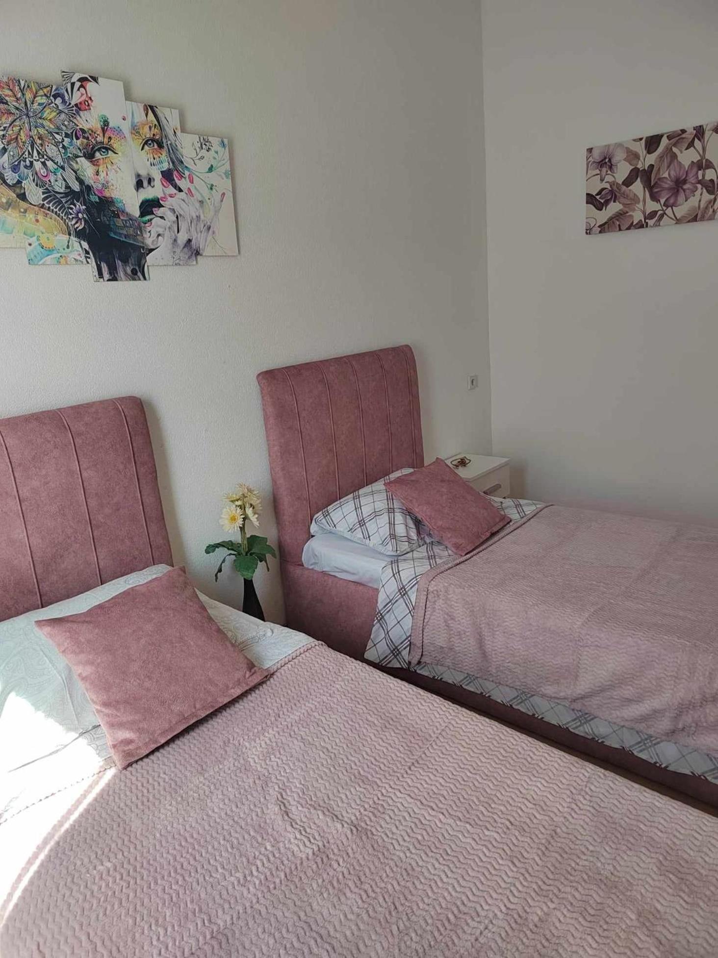 Apartmani Spomenka 塞利讷 外观 照片