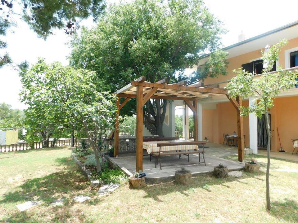 Apartmani Spomenka 塞利讷 外观 照片