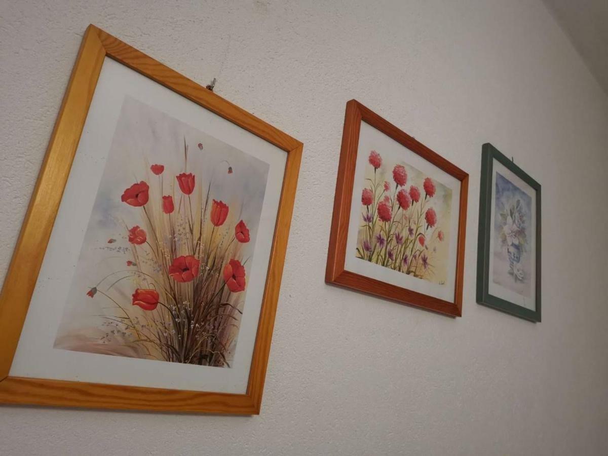 Apartmani Spomenka 塞利讷 外观 照片
