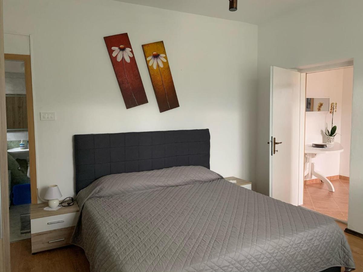 Apartmani Spomenka 塞利讷 外观 照片
